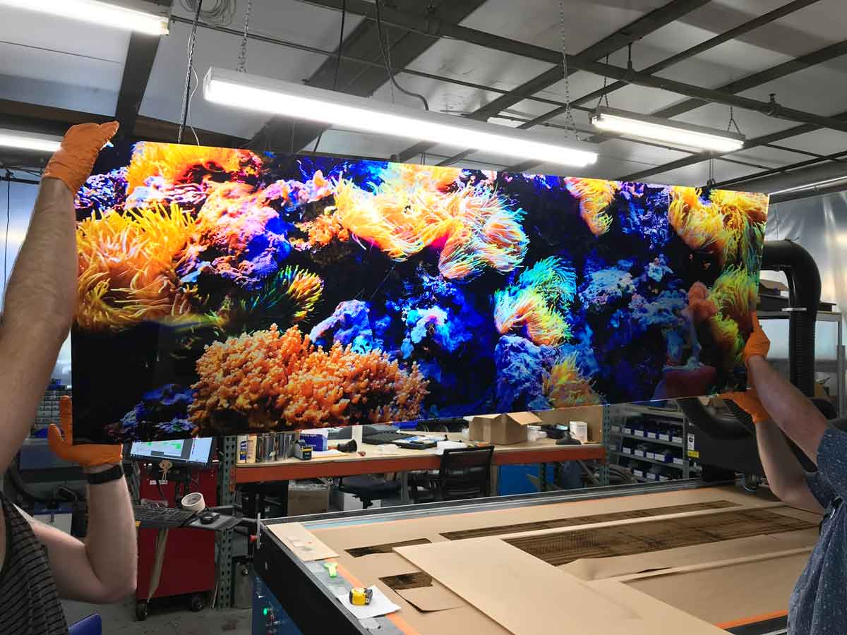 Backlit printing on flatbed acrylic